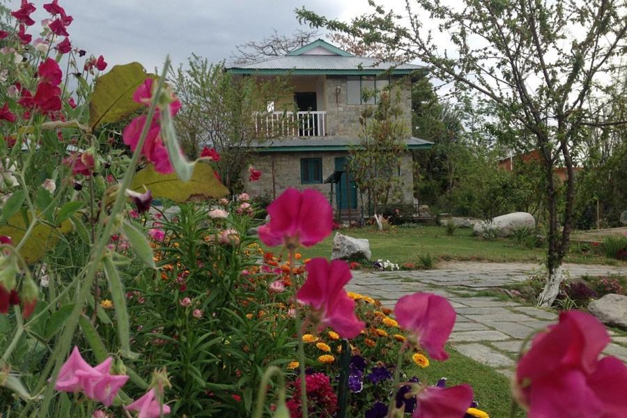 Nagri Resort Palampur Luaran gambar