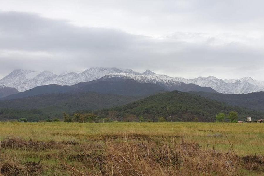 Nagri Resort Palampur Luaran gambar