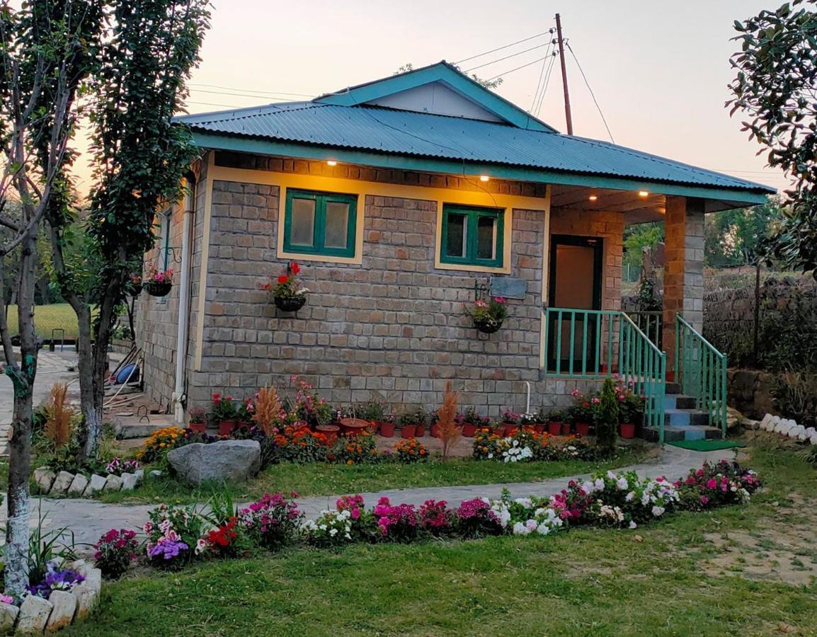 Nagri Resort Palampur Luaran gambar