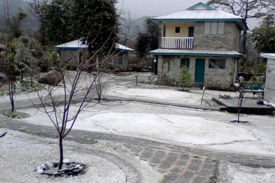 Nagri Resort Palampur Luaran gambar