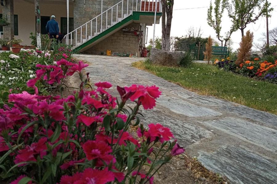 Nagri Resort Palampur Luaran gambar