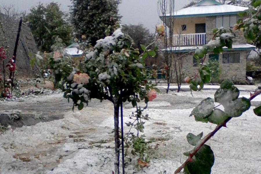 Nagri Resort Palampur Luaran gambar