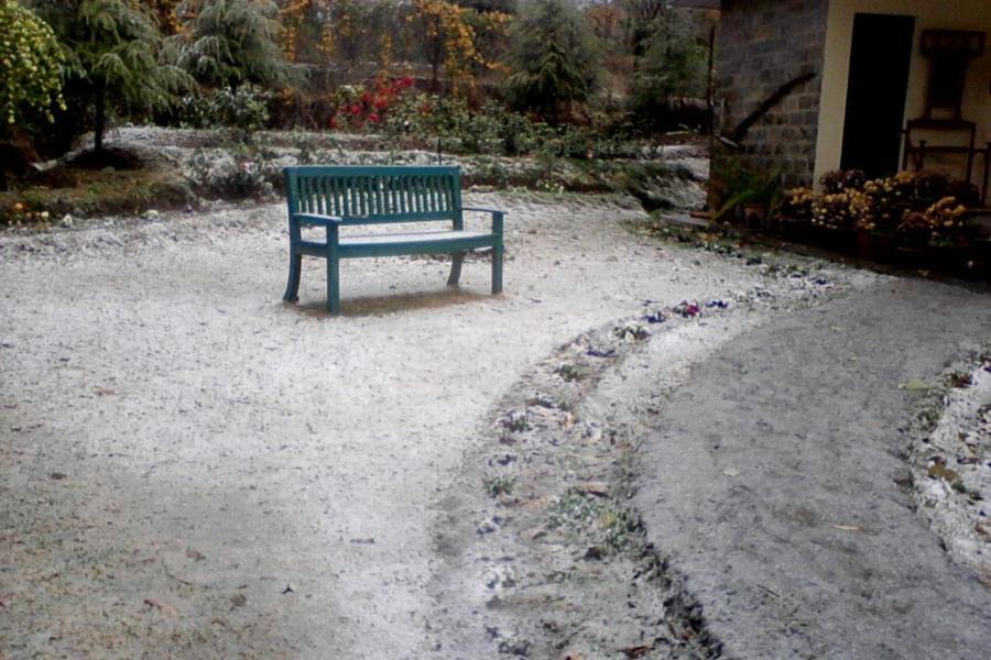 Nagri Resort Palampur Luaran gambar