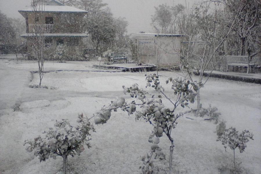 Nagri Resort Palampur Luaran gambar