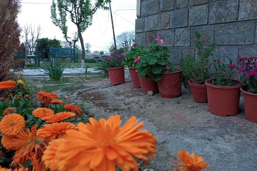 Nagri Resort Palampur Luaran gambar