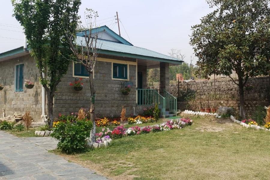 Nagri Resort Palampur Luaran gambar